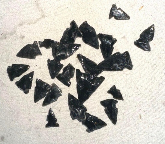 20+ Obsidian Bird Points- Early 20th Century