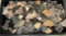 Tray Full of Knapped Arrowhead Parts