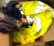 Group of Fed EX Safety Wear- Some New ones