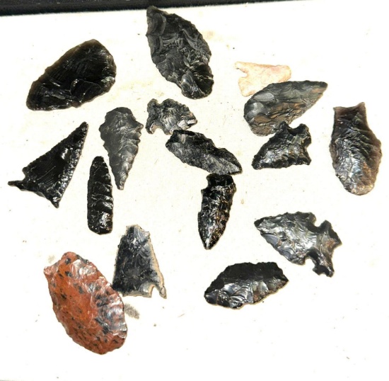 Lot of Obsidian Arrowheads