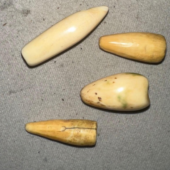 4 Walrus Ivory anvil arrowheads Stunners for small Animals