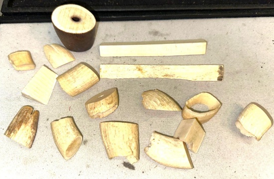 16 Old Pieces of Mammoth or Mastodon Ivory