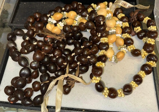 5 Kukui Nut/seashell Necklaces