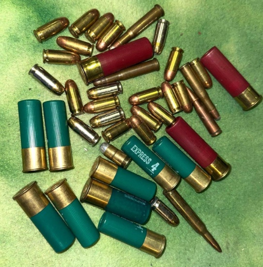 Misc Ammo Lot