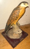 VTG Statue of a Perrigin Falcon 12