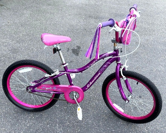 20" Schwinn Deelite Girls Bike-In Great Condition