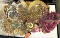 Bag of Unsorted Jewelry