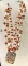 Coral, Mother of Pearl, Abalone Necklace