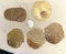 5 Carved Jade Medallions/ Pendants
