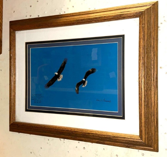 Framed Bald Eagle Picture signed 18" x 14"