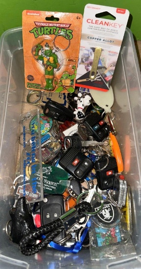 Various Keychains and car FOB's