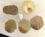 5 Carved Jade Medallions/ Pendants