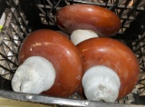 5 Antique Powerline Insulators