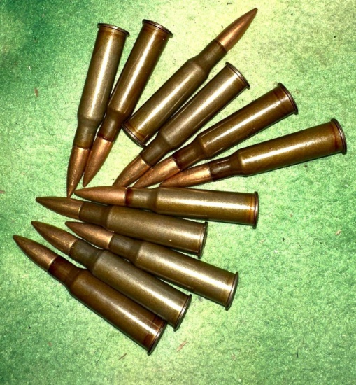 11 Rounds of 7.62x54 Ammo