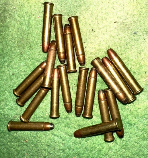 19 Rounds of 22 Long Ammo