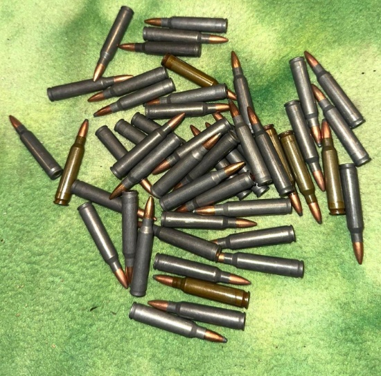 50 Rounds of Wolf 223 Ammo