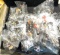 Gallon Size Ziplock Bag Full of NEW Pokemon Charms