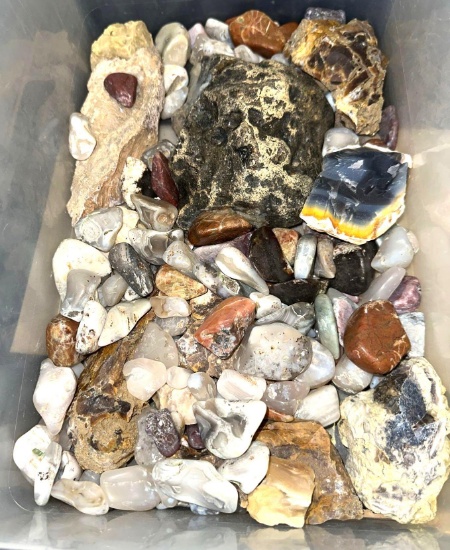 Bin of Collectable Rocks- Agate Raw and Polished