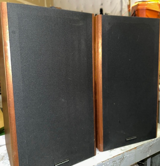 Pair of Vintage Dahlquist M905 Hi Fi Speakers