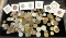 Lot of Unsearched Foreign Coins