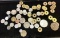 Lot of Unsearched Foreign & American Coins