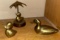 Brass Duck Collection