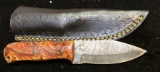 Fixed Blade Knife and Sheath 4