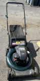 Briggs & Stratton Bolens 21