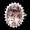 14k Gold 11.00ct Morganite 1.10ct Diamond Ring