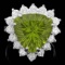 14k White Gold 9.50ct Peridot 1.80ct Diamond Ring