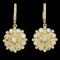 14k Yellow Gold 5.00ct Diamond Earrings