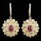 14k Yellow Gold 2.50ct Ruby 7ct Diamond Earrings