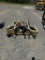 LANDPRIDE 72