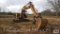 CAT 225 Excavator