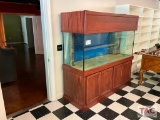 Salt Water Fish Tank