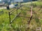 17ft Cab-Over Ladder Rack