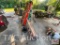 Step Ladders