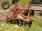 3 Point Hitch 16 Disk Harrow
