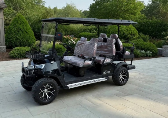 New 6 Passenger Golf Cart