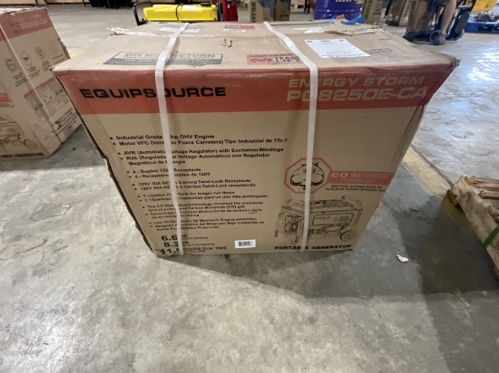PG8250E-CA Portable Generator
