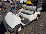 Gas powered golf cart