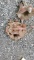 Pintle hitch