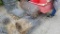 Lot chicken wire