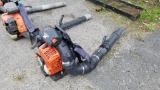 Echo Backpack Blower