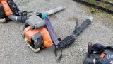 Echo Backpack Blower