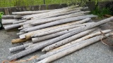 Lot Fence Posts