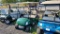 Electric Golf Cart