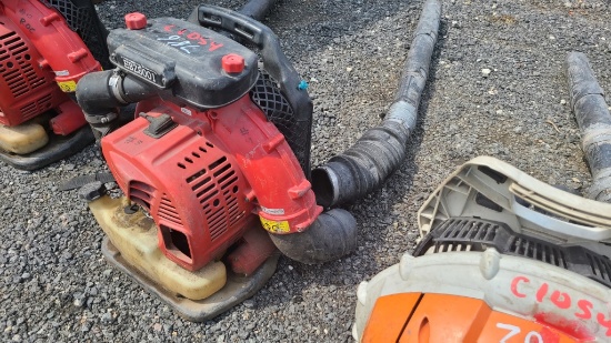 Redmax Backpack Blower