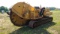 Vermeer T650rca Trencher