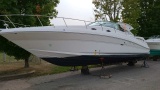 Searay sundancer 340